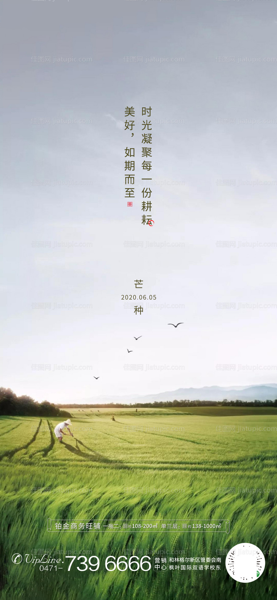 地产芒种节气移动端海报-源文件