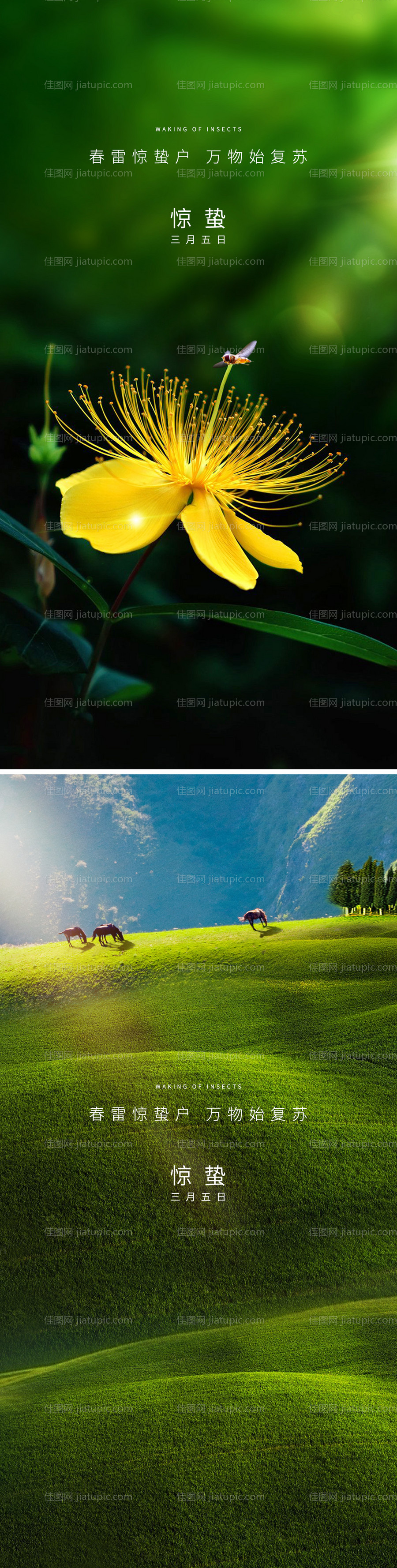 惊蛰节气海报-源文件