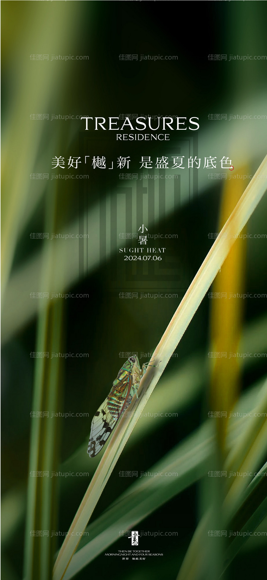 小暑节气海报-源文件