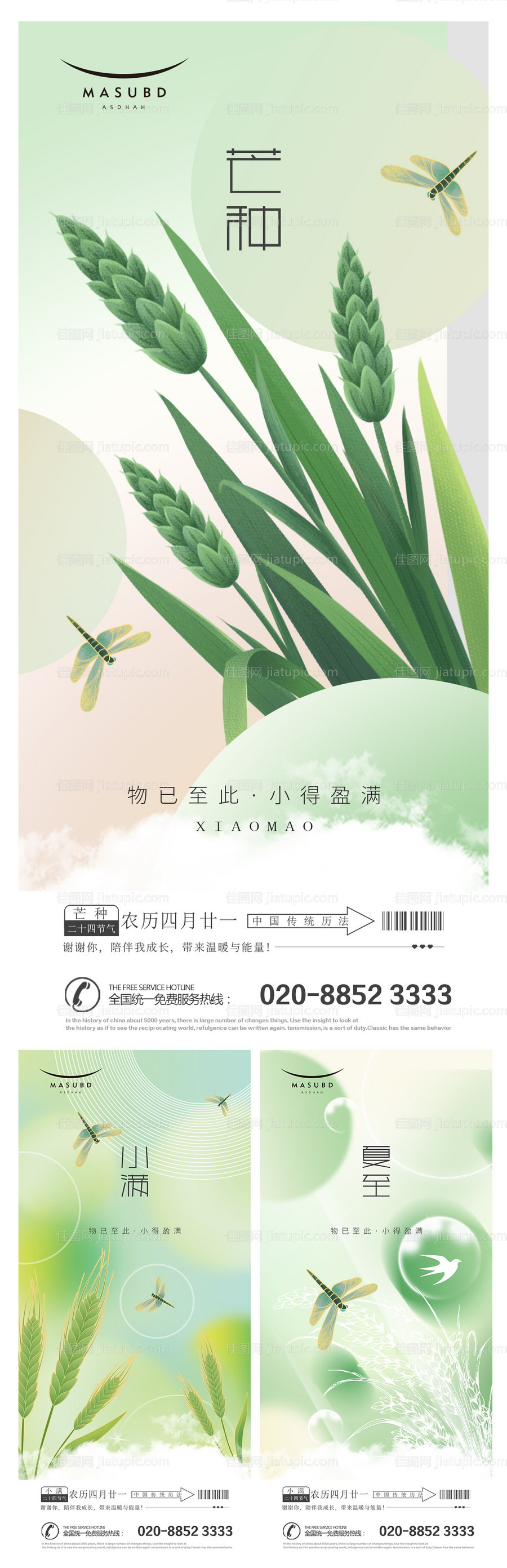 芒种小满夏至麦穗海报-源文件