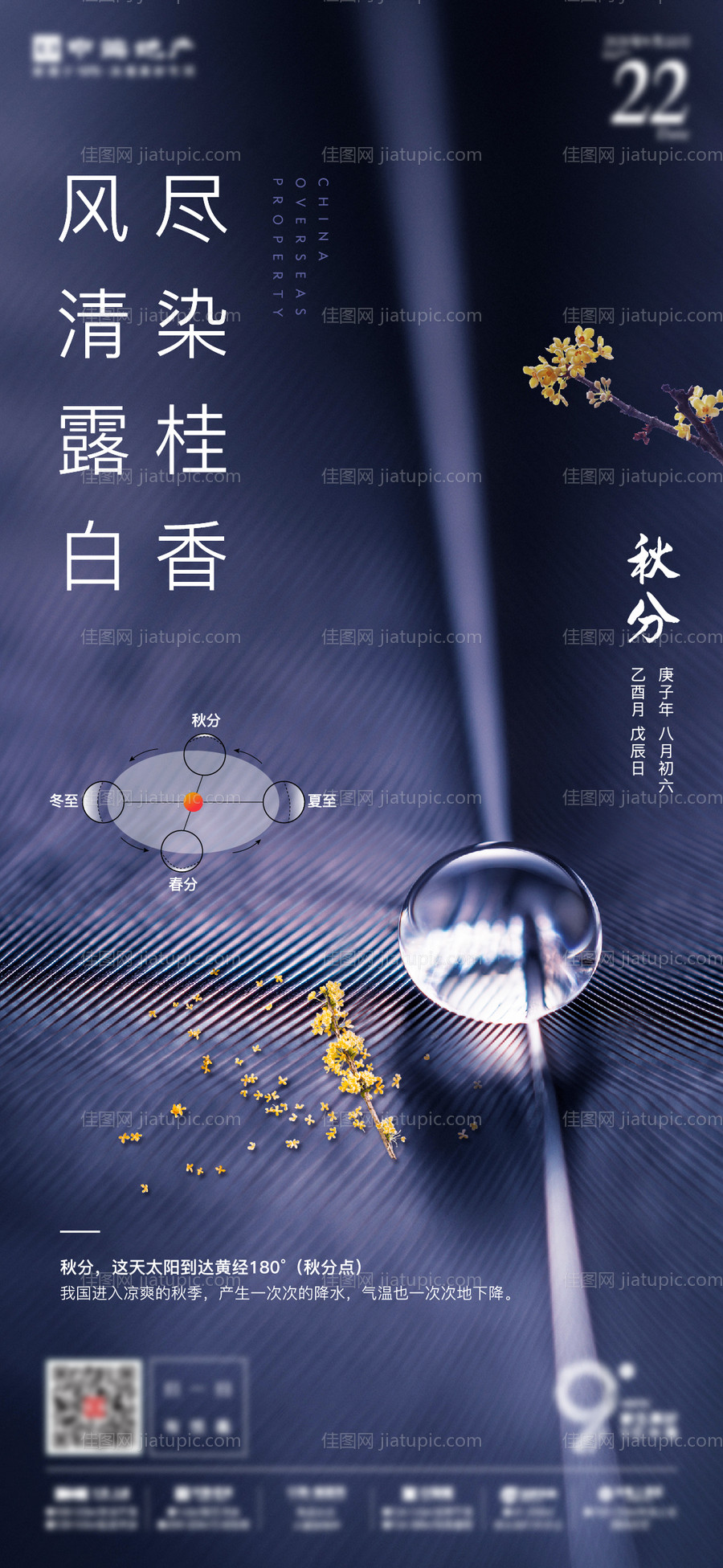 秋分节气海报-源文件