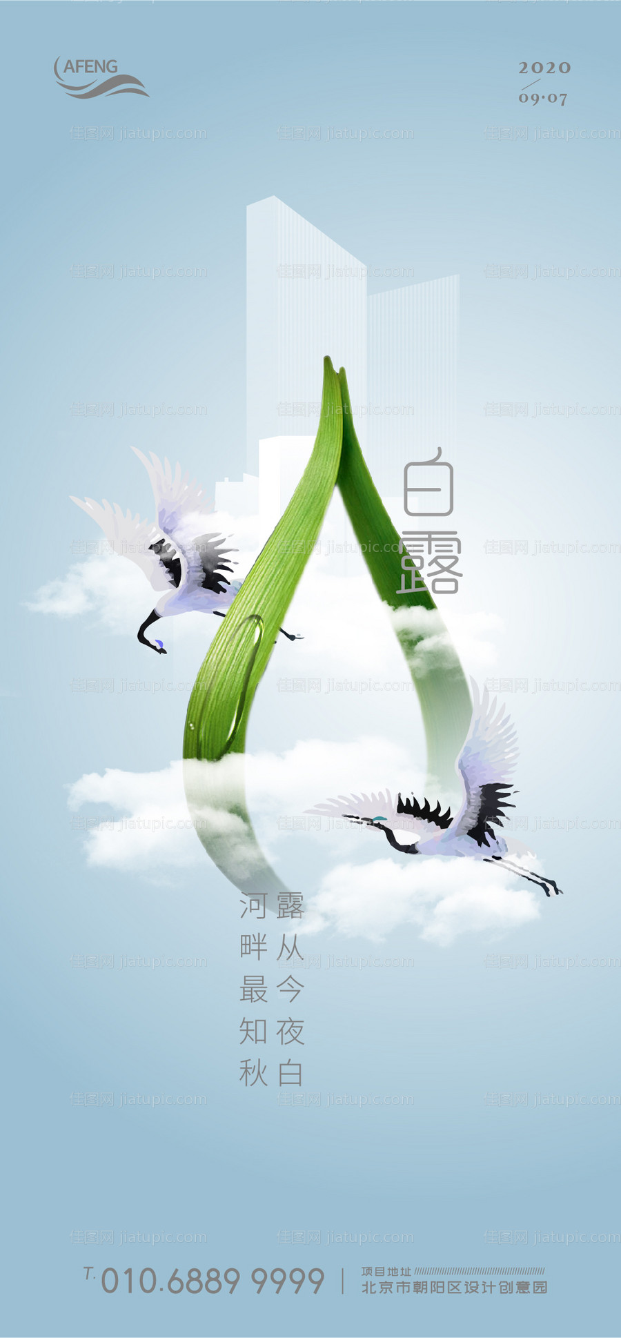 创意房地产露珠白露节气移动端海报-源文件