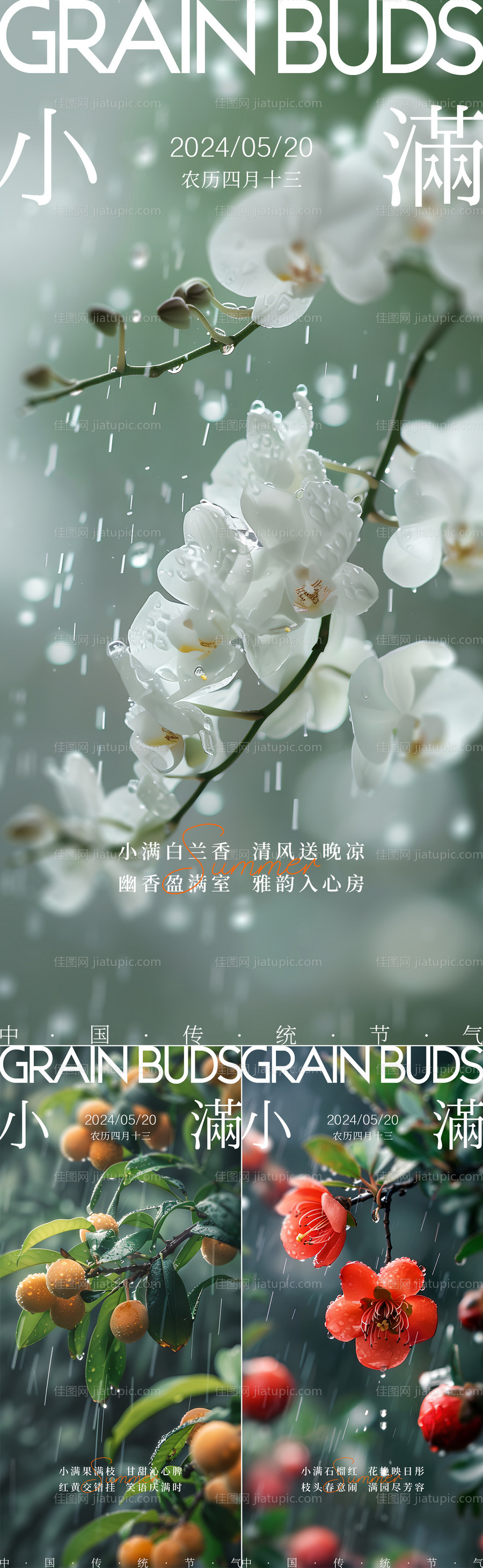 小满节气风景简约海报-源文件