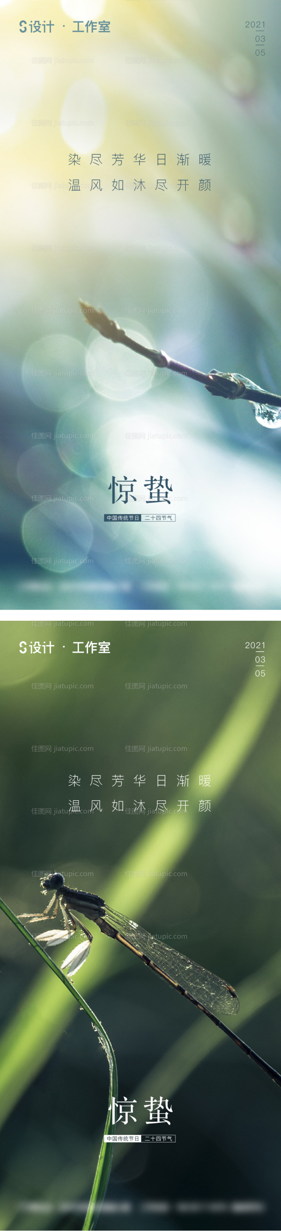 地产惊蛰系列海报-源文件