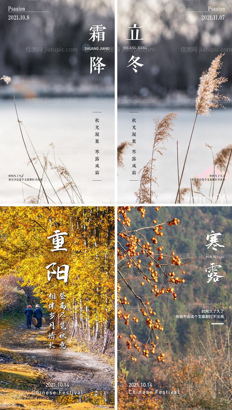 寒露重阳霜降系列海报-源文件