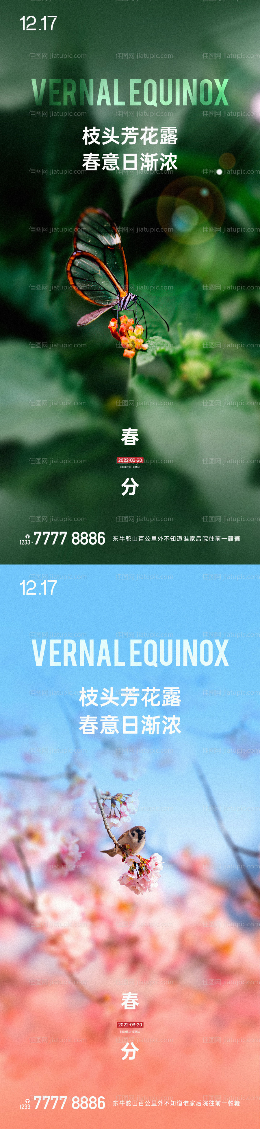 春分惊蛰节气单图-源文件