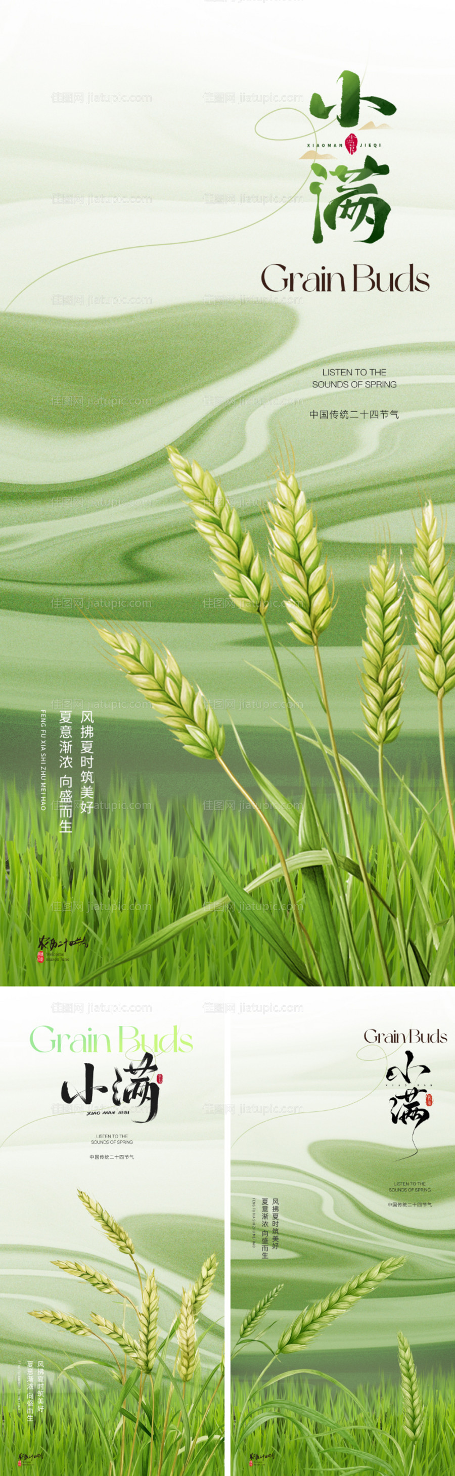 小满节气系列海报-源文件
