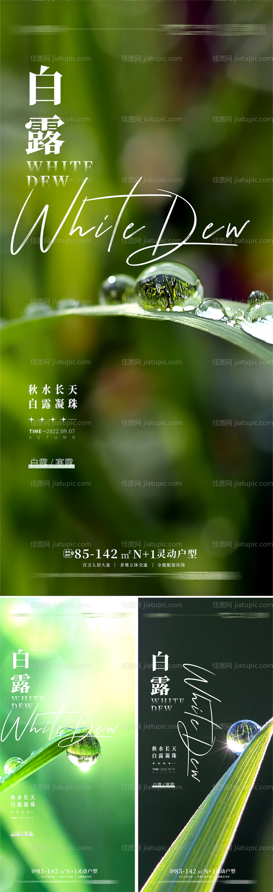 地产白露寒露海报-源文件