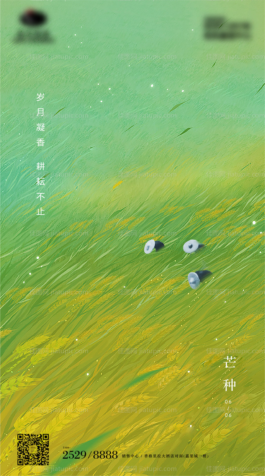 地产芒种节气海报-源文件