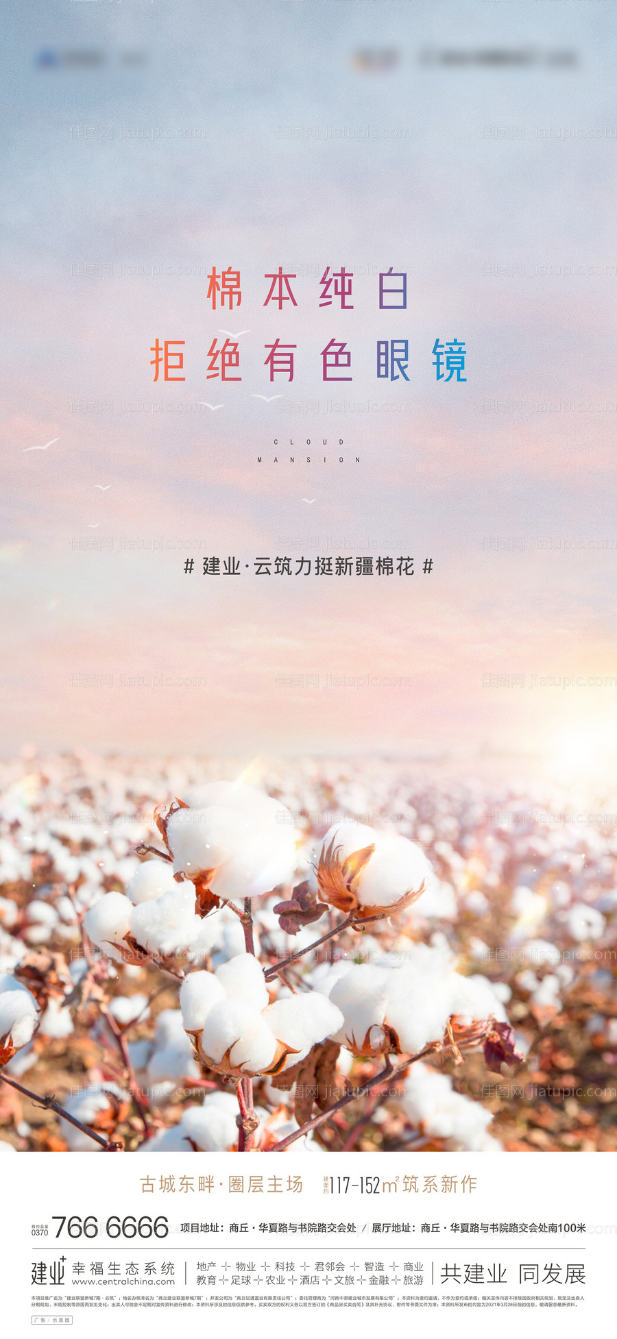 地产 棉花单图-源文件