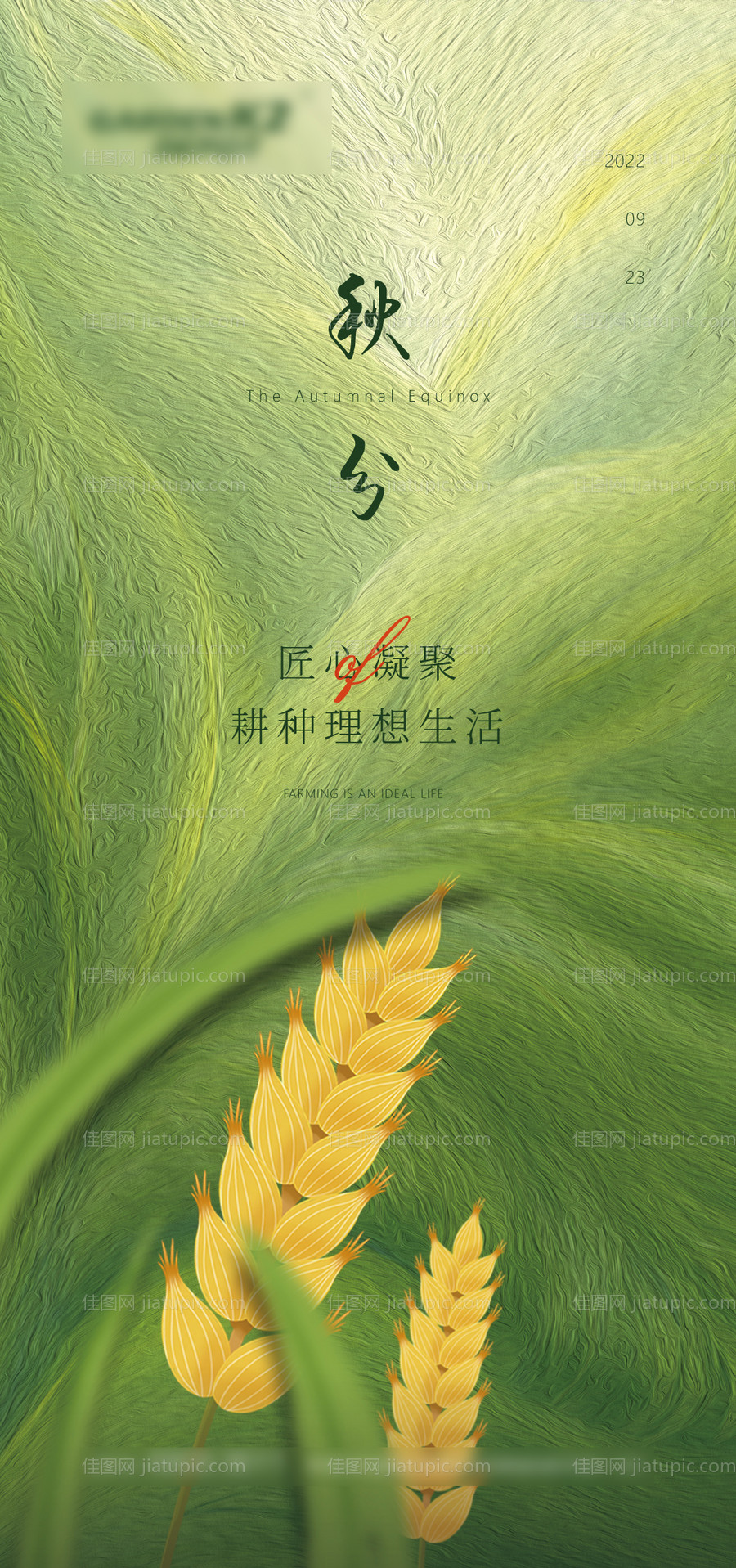 二十四节气秋分节气微信麦穗-源文件