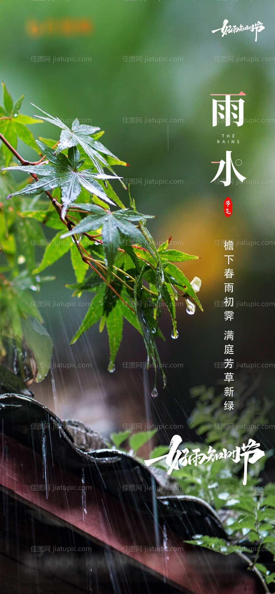 雨水节气海报-源文件