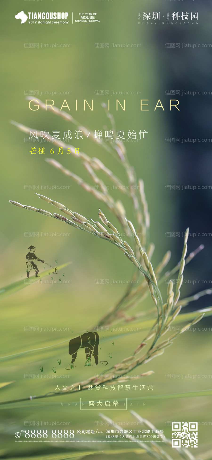 芒种节气移动端海报-源文件