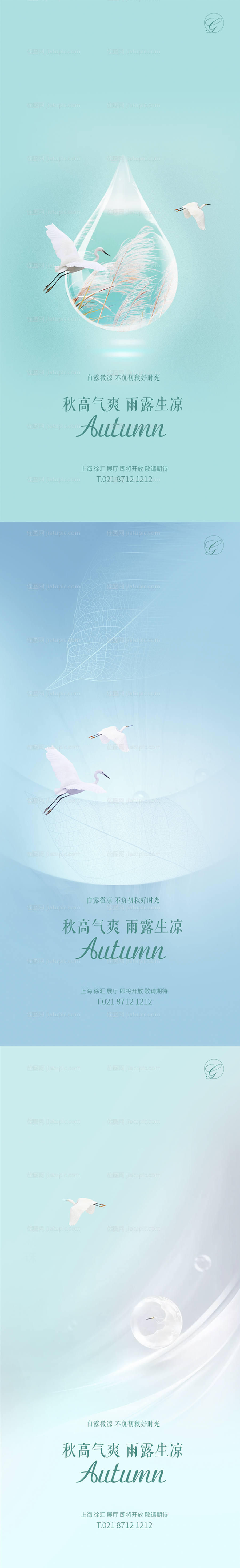 白露节气系列海报-源文件