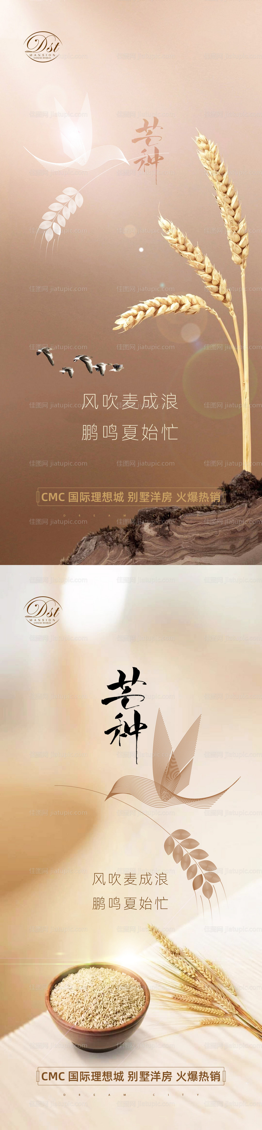 芒种节气海报-源文件