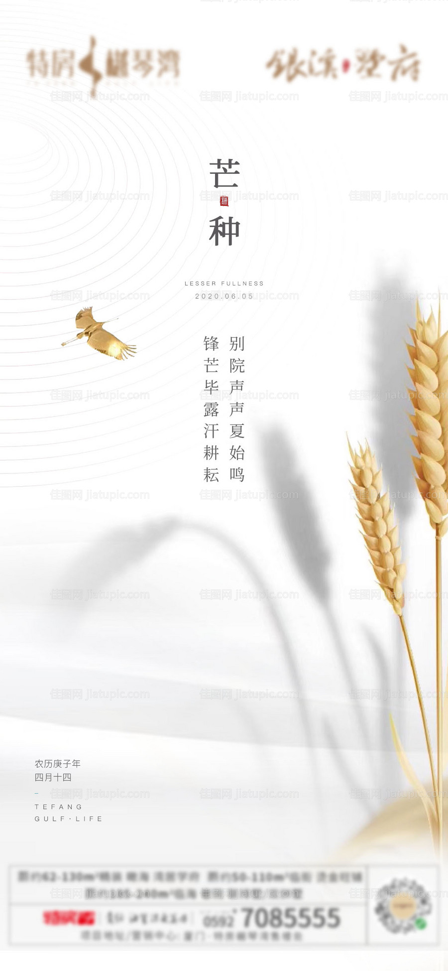 芒种节气单图-源文件