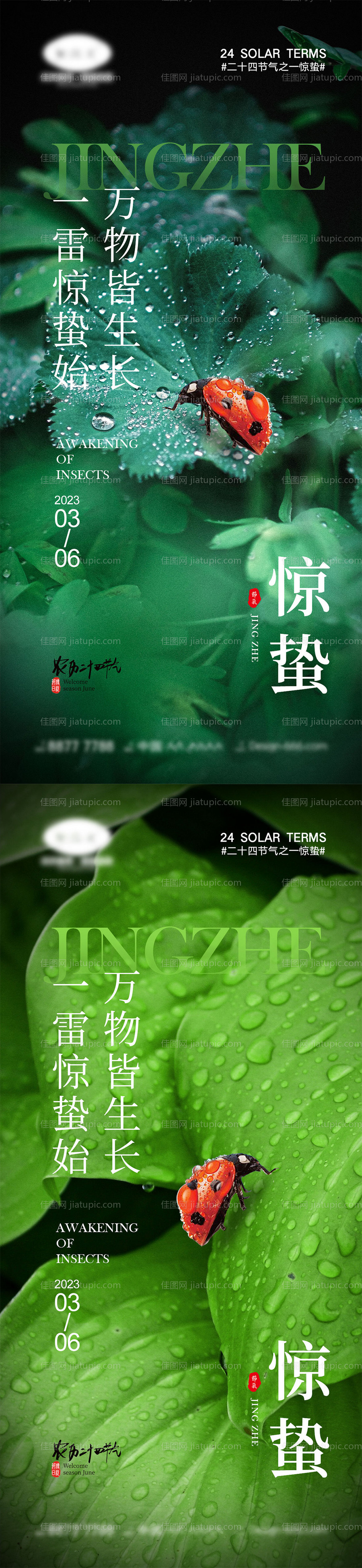 惊蛰节气海报-源文件