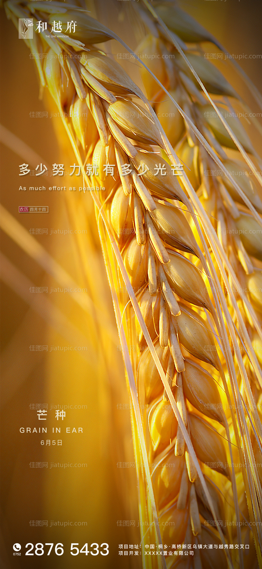 大气简约房地产芒种节气海报-源文件