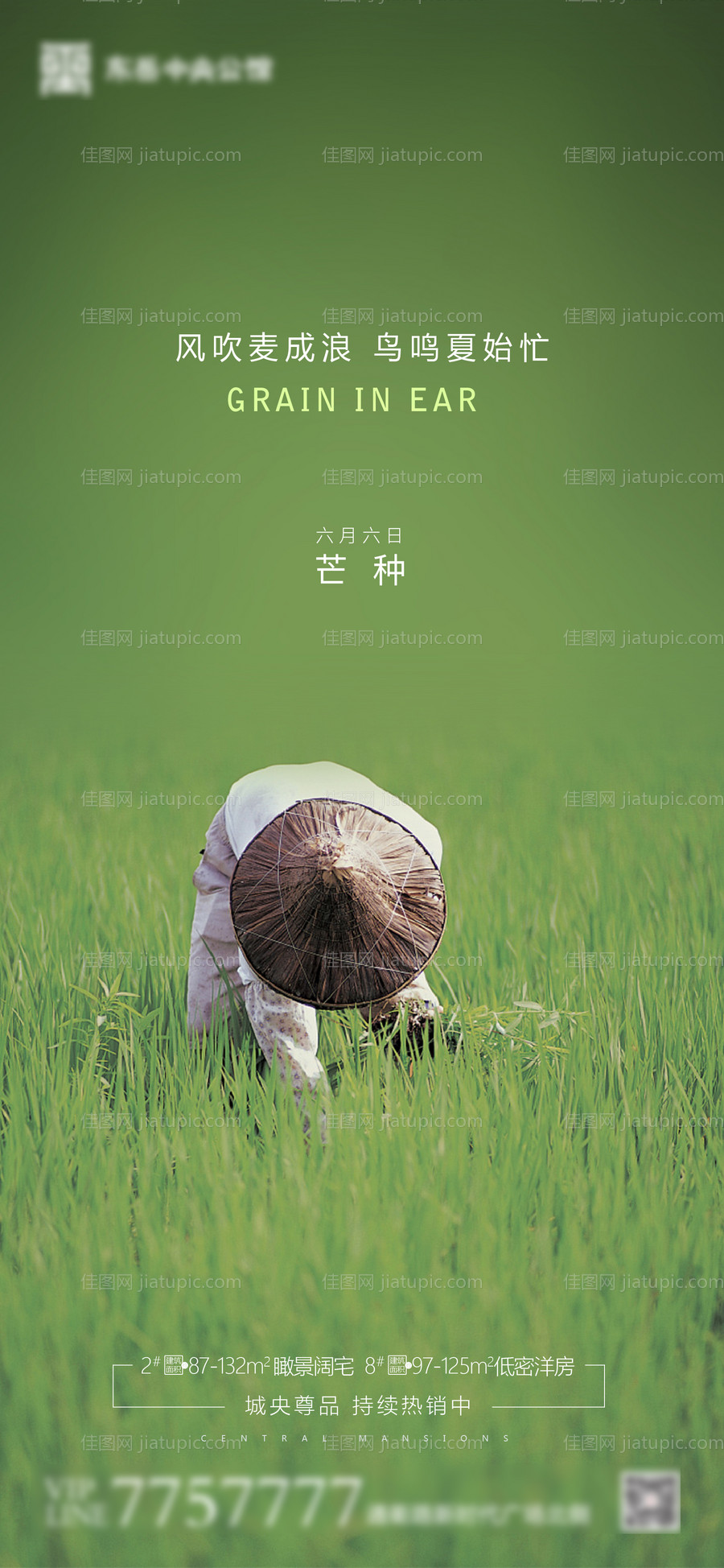 房地产芒种节气海报-源文件