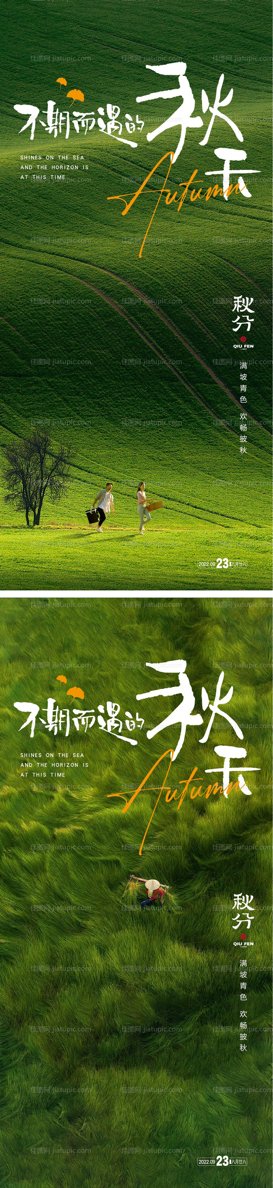 秋分节气海报-源文件