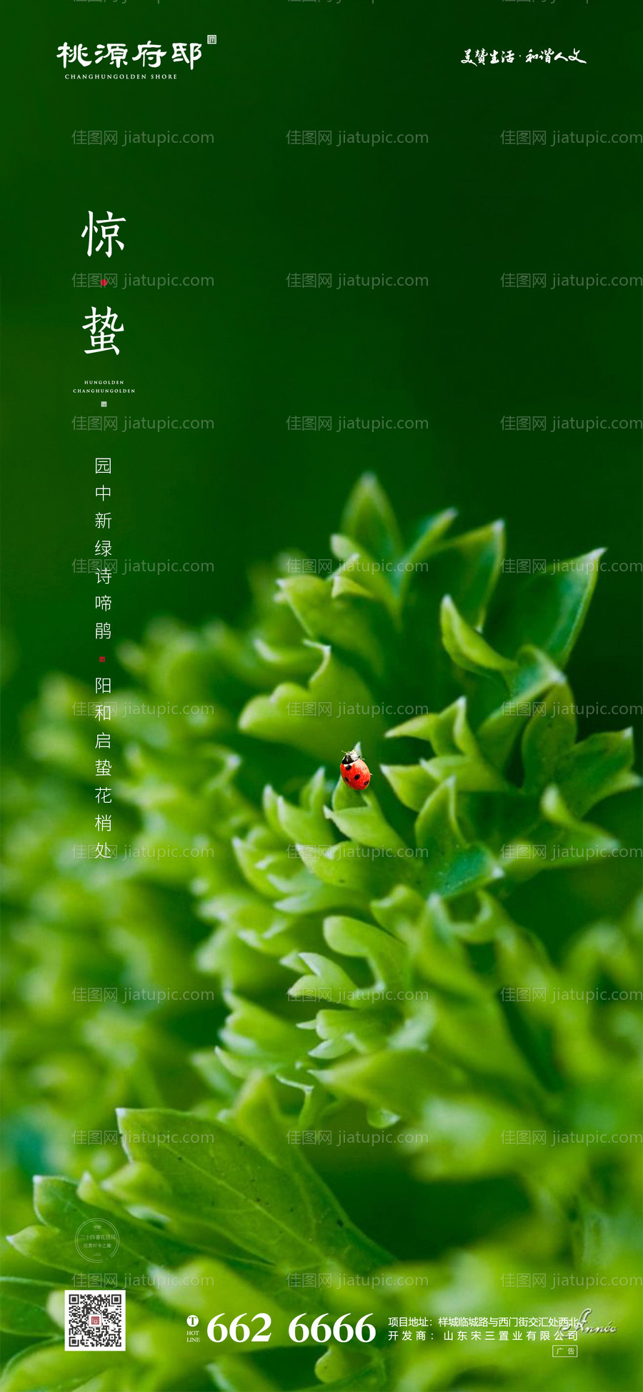 大气简洁绿色房地产惊蛰移动端海报-源文件