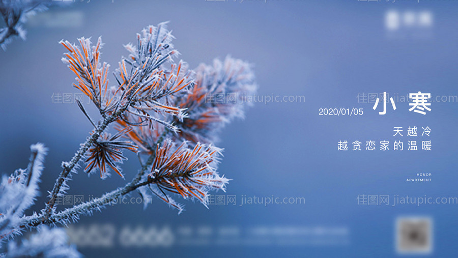 节气海报-源文件