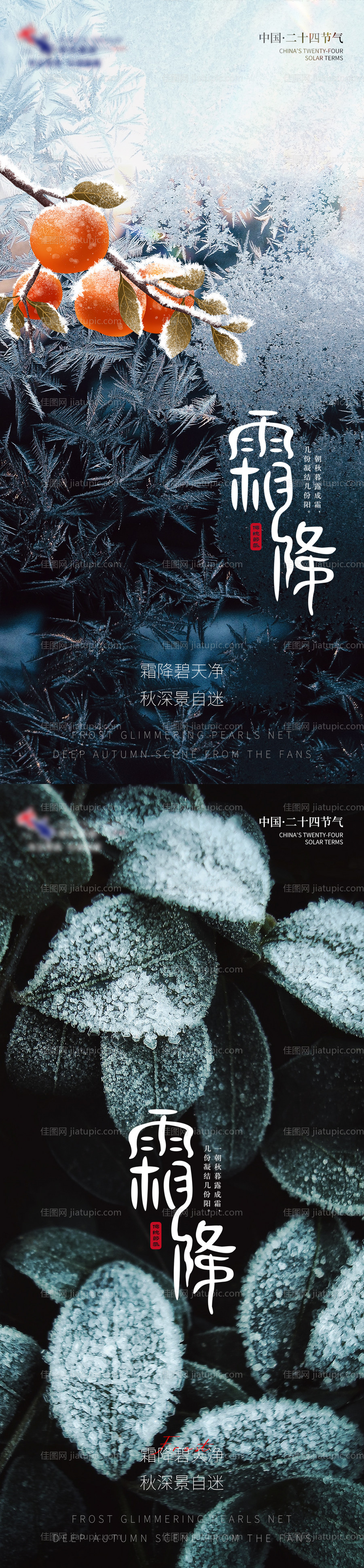 霜降节气系列海报-源文件