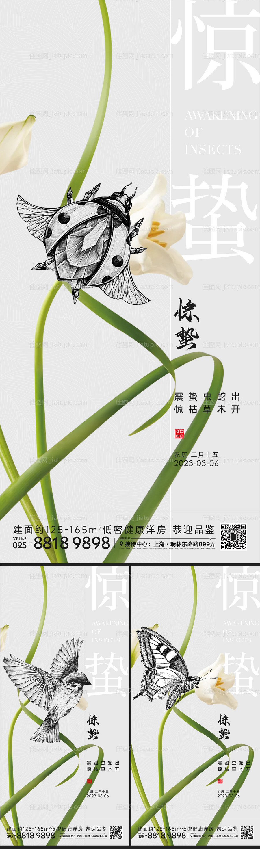 惊蛰节气海报-源文件