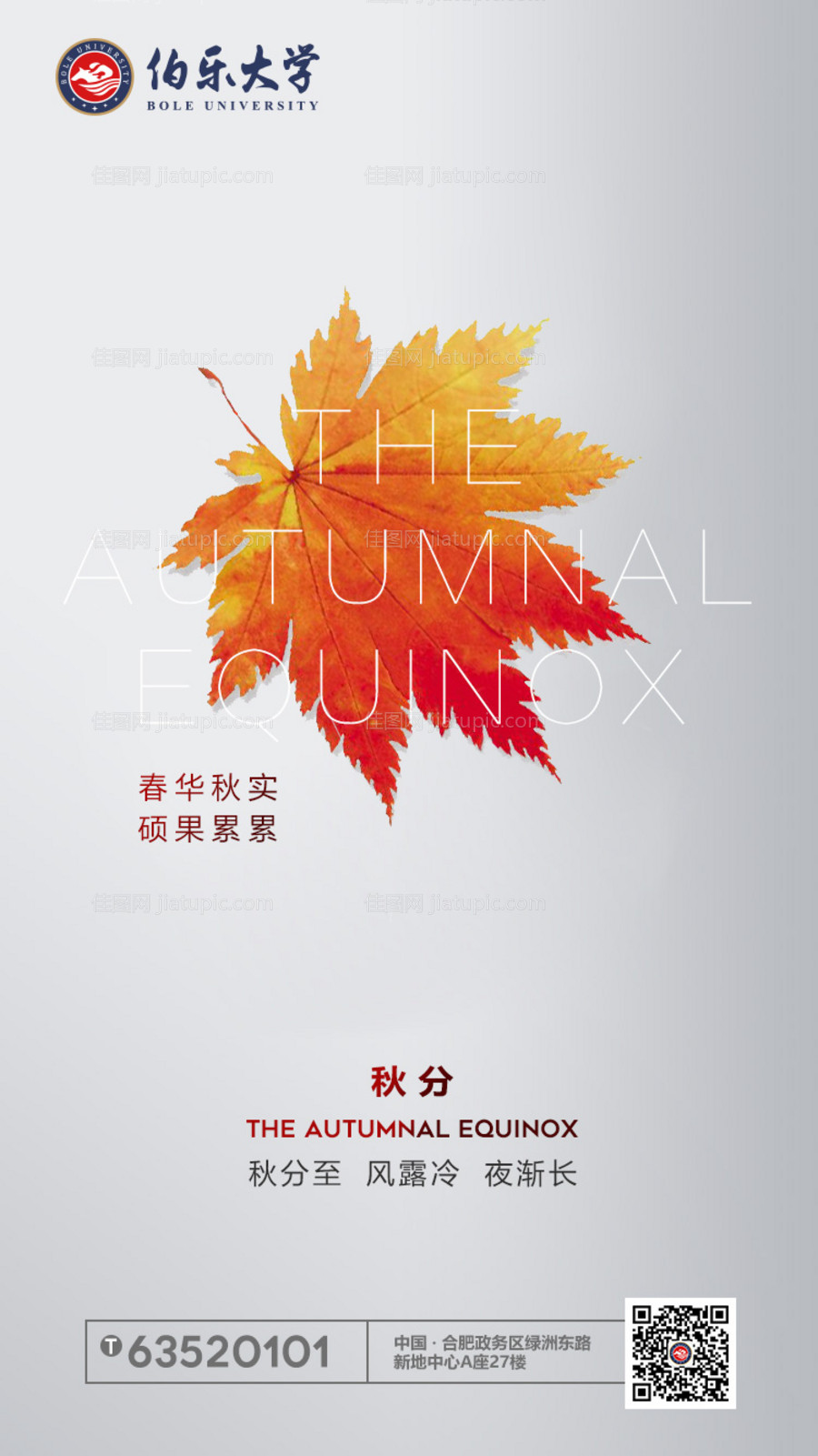 秋分二十四节气地产海报-源文件