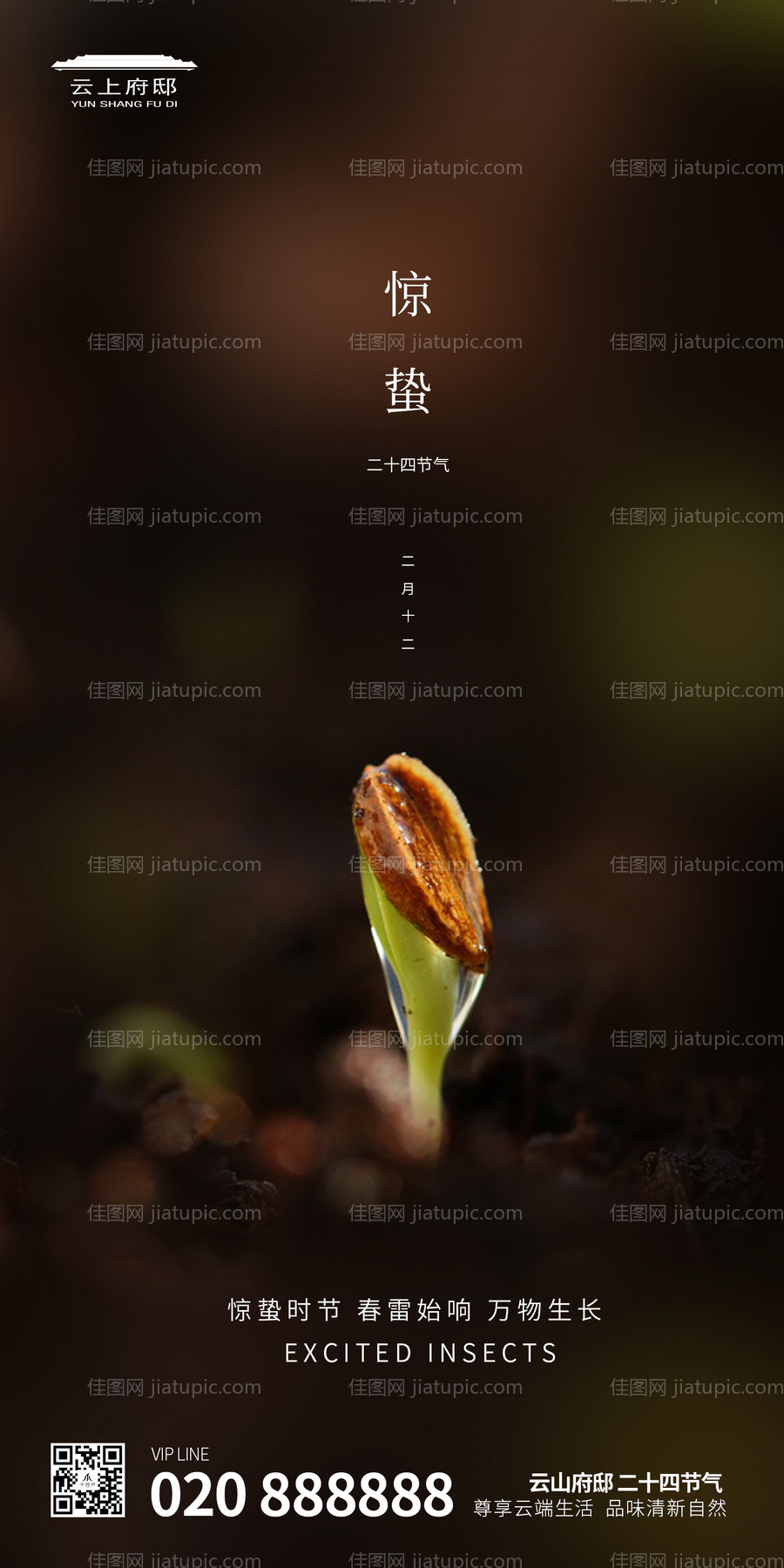 地产惊蛰二十四节气海报-源文件