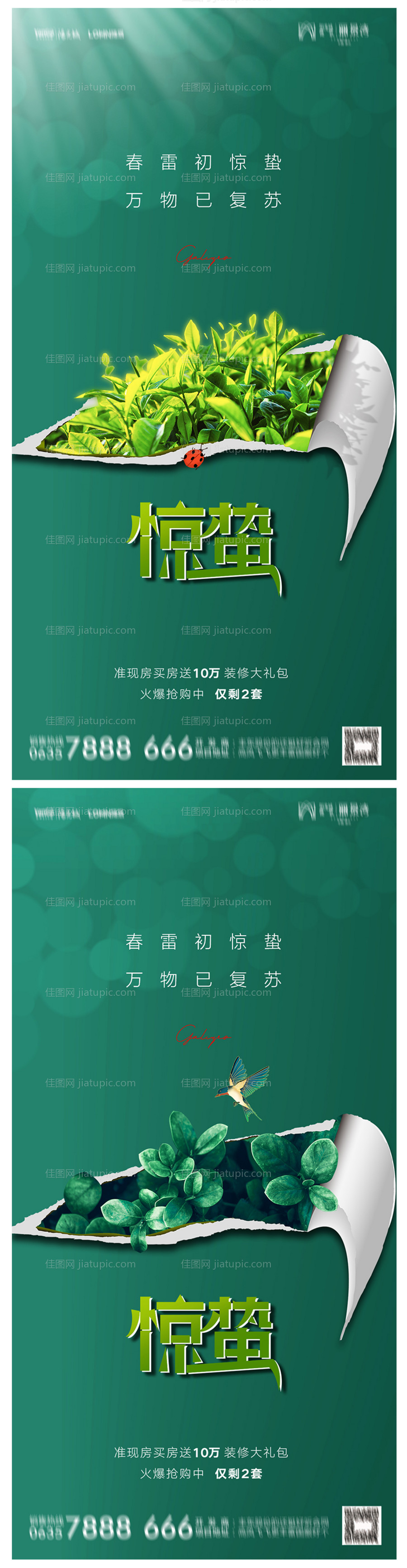 地产惊蛰海报-源文件