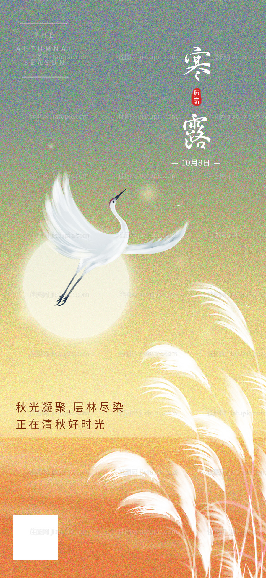 寒露节气海报-源文件