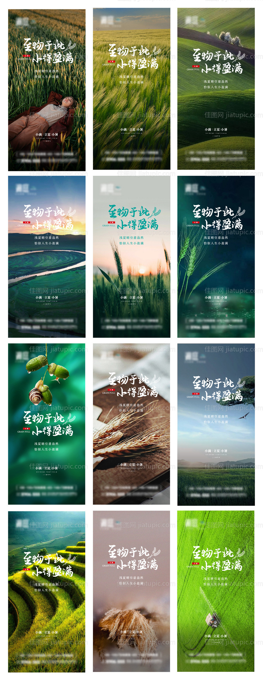 芒种小满立秋节气系列海报-源文件