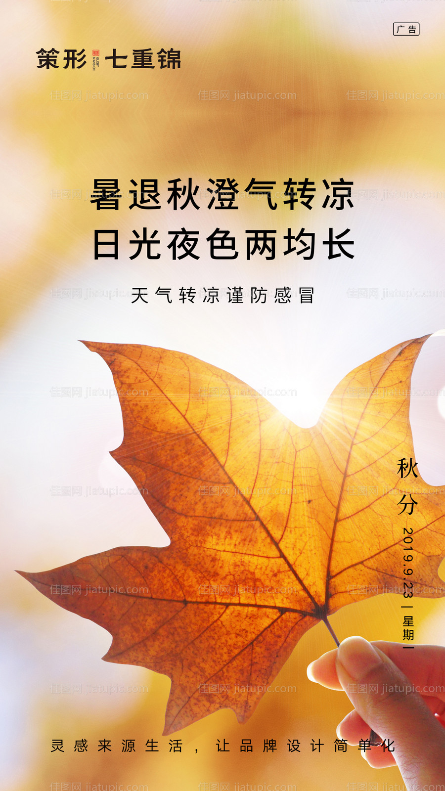 二十四节气之秋分移动端海报-源文件