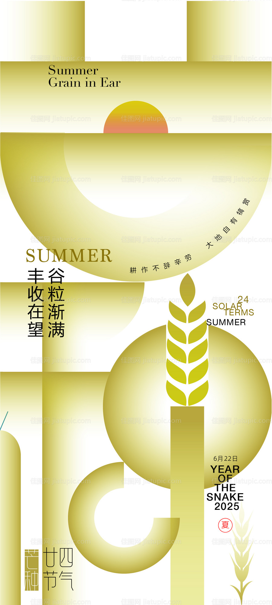 芒种节气海报-源文件