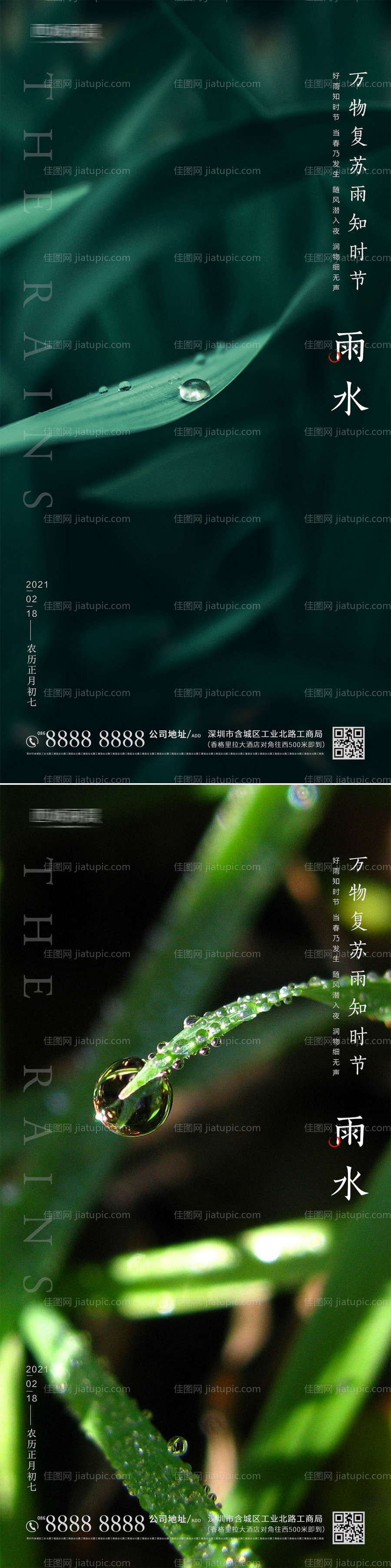 雨水节气海报系列-源文件