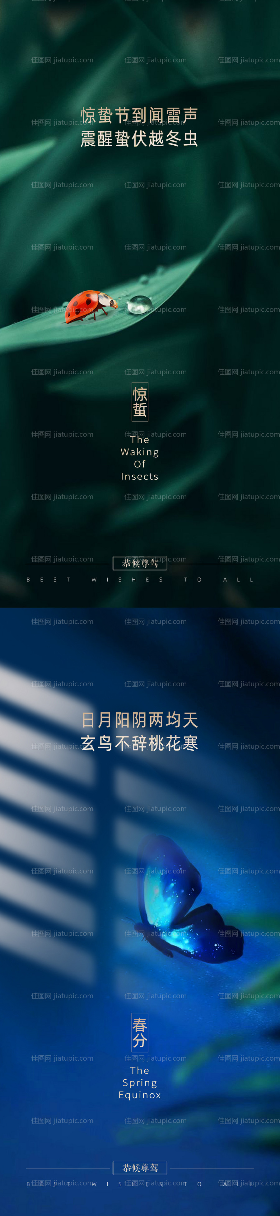 惊蜇春分简约系列海报-源文件