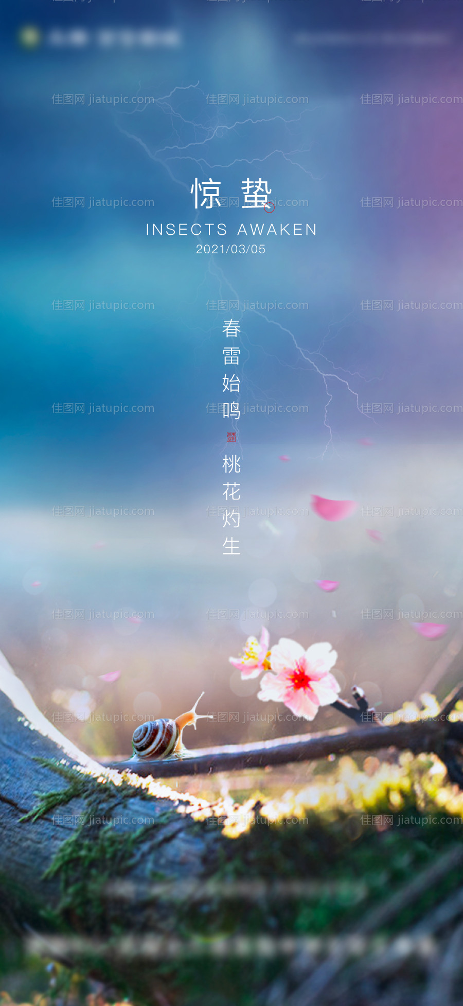 原创惊蛰节气海报-源文件