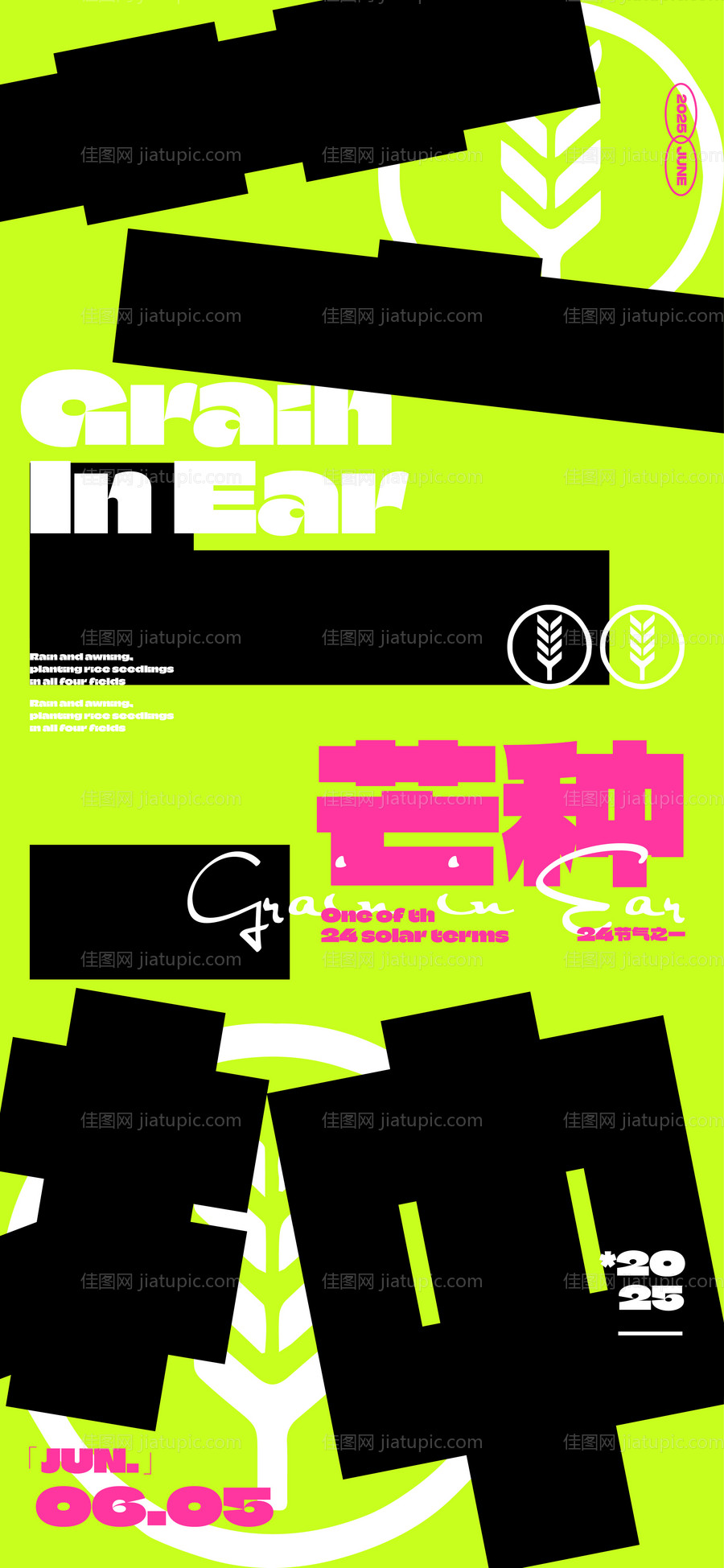 芒种海报-源文件