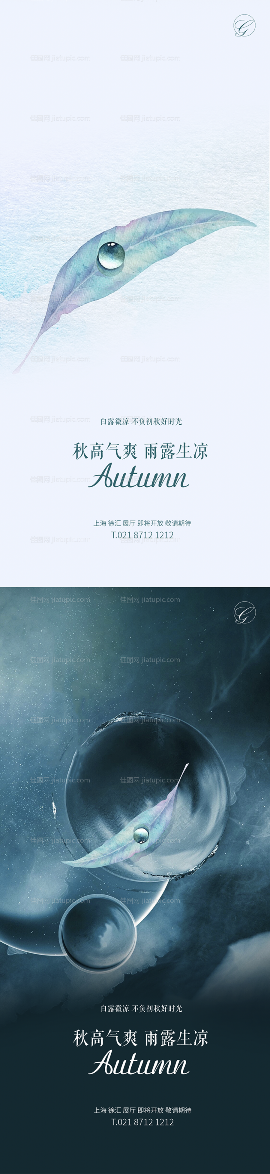 白露节气系列海报-源文件