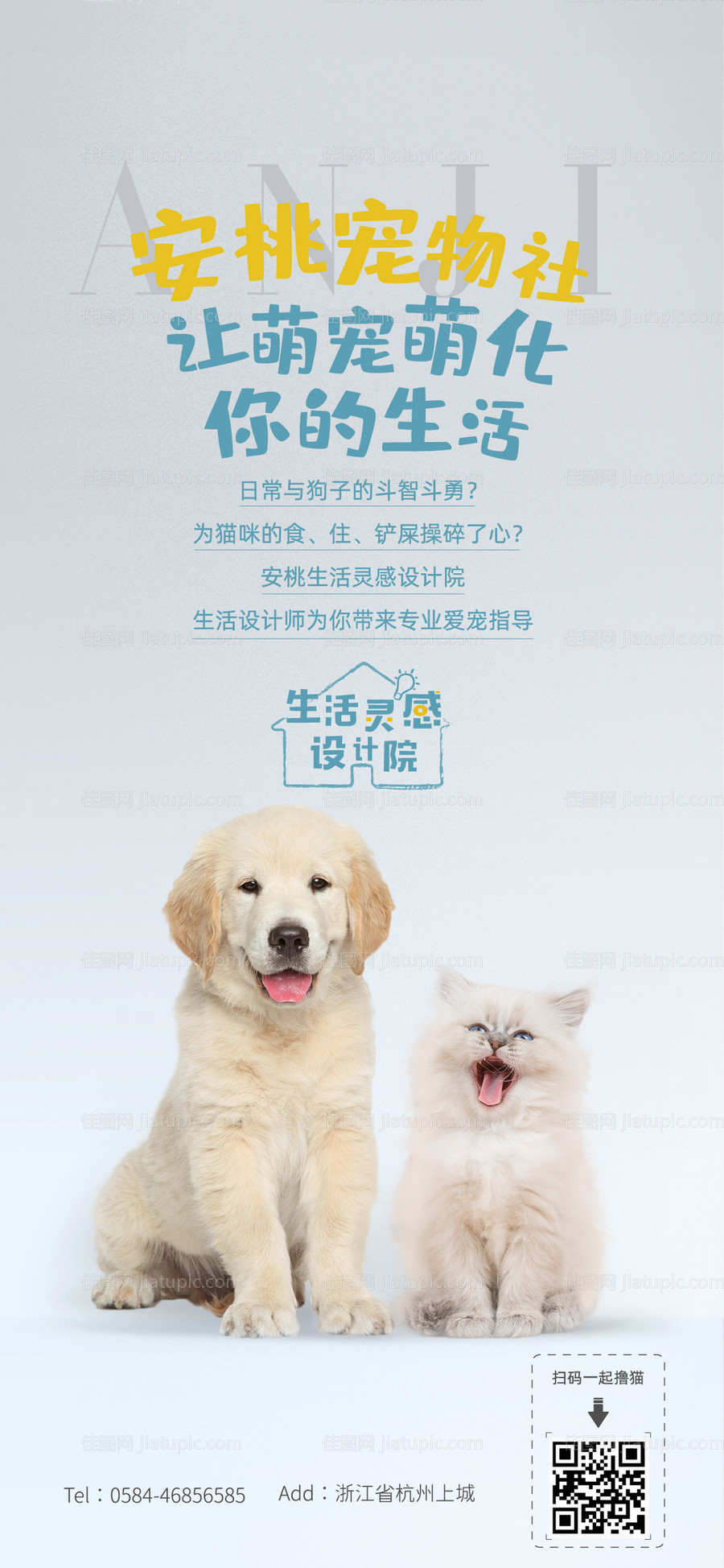 社群海报（宠物社 美食社 健身社）-源文件