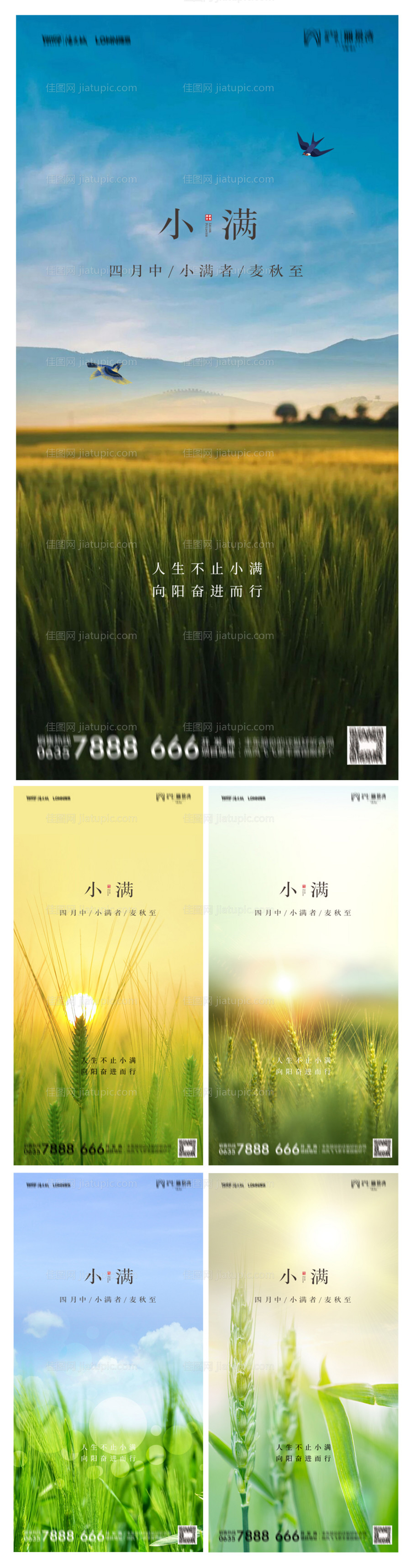 地产小满节气系列海报-源文件