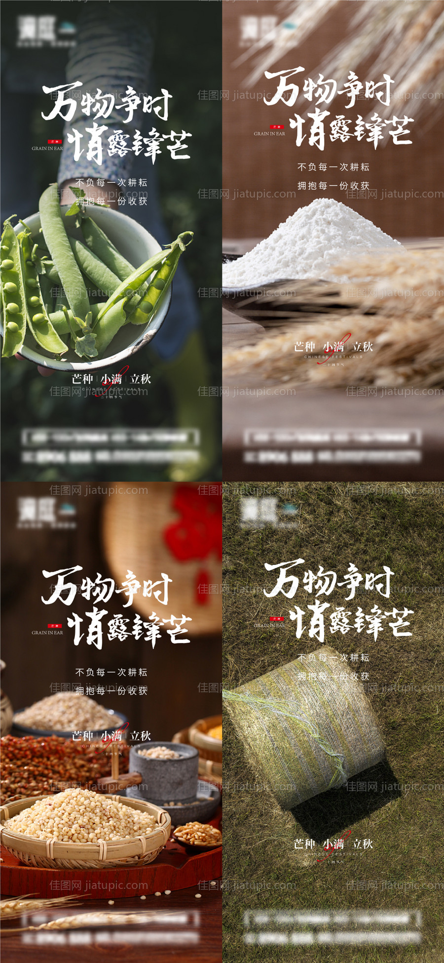 芒种小满立秋节气系列海报-源文件