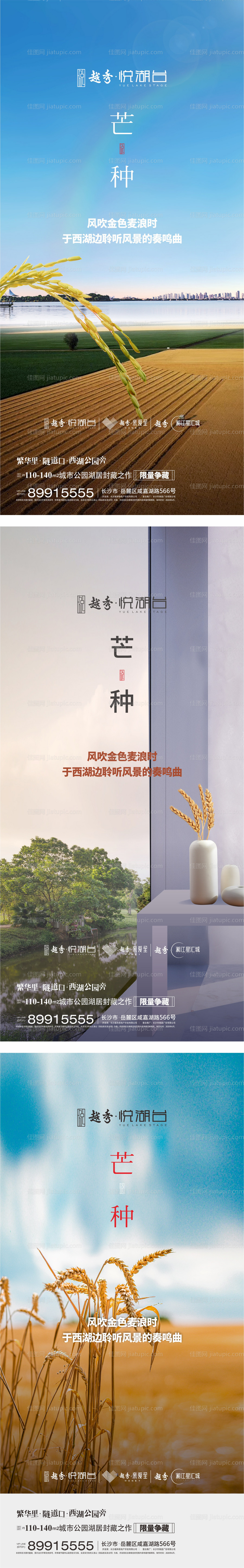 芒种地产海报-源文件