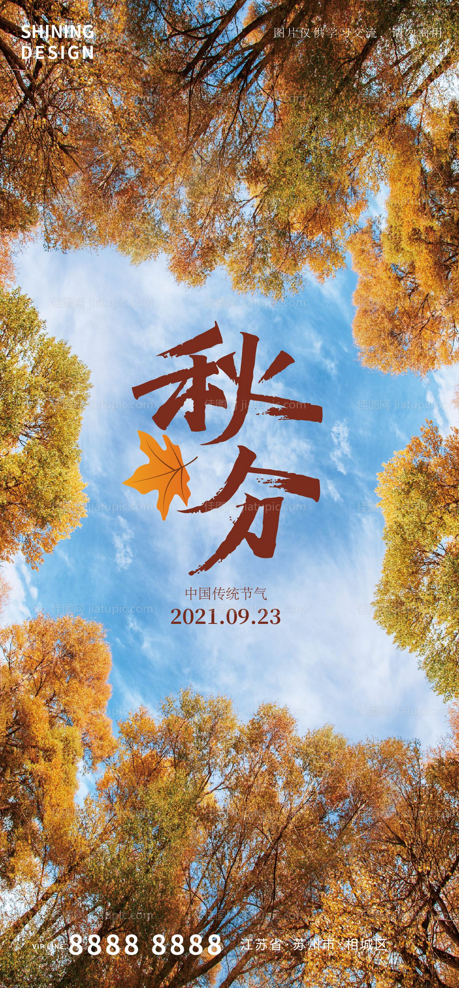 秋分质感节气海报-源文件