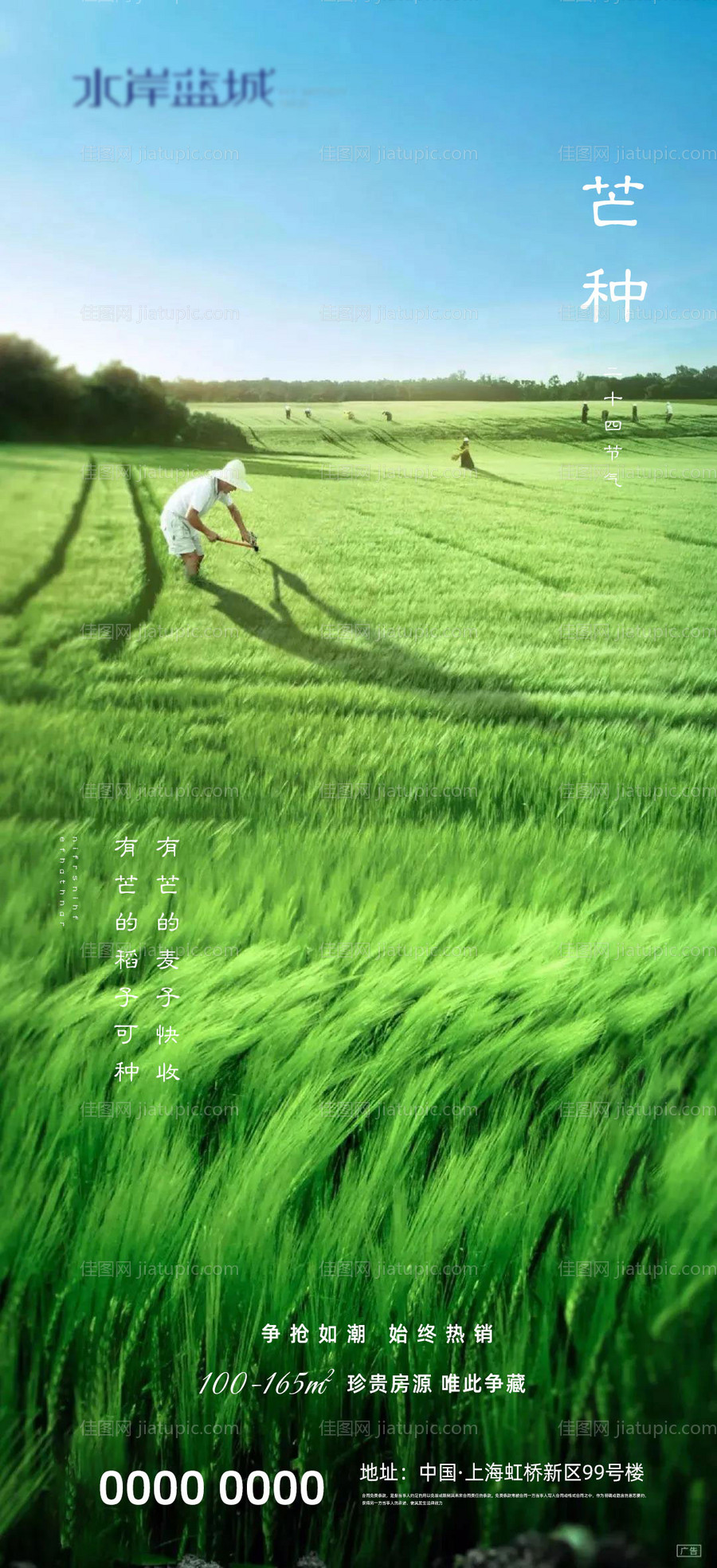 地产芒种二十四节气海报-源文件