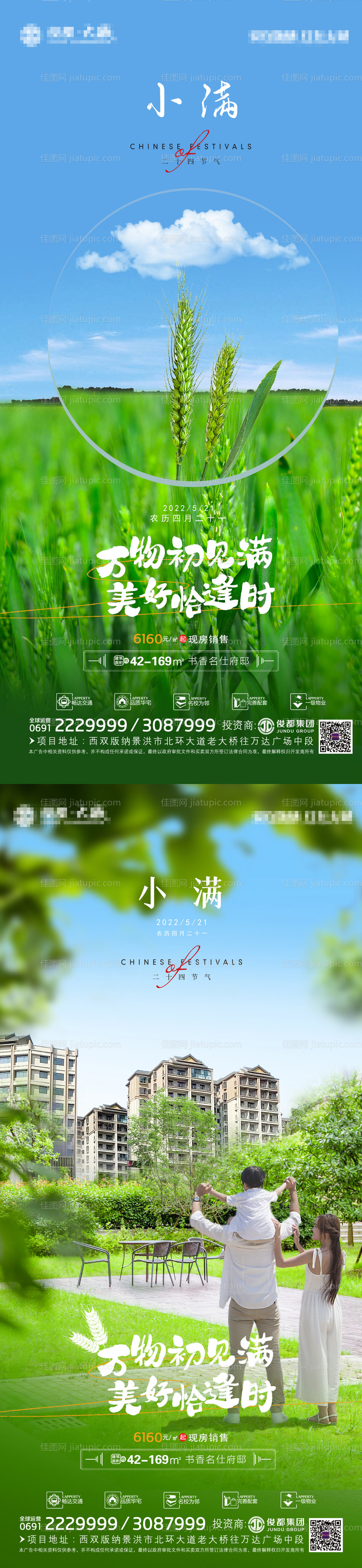 小满节气系列海报-源文件