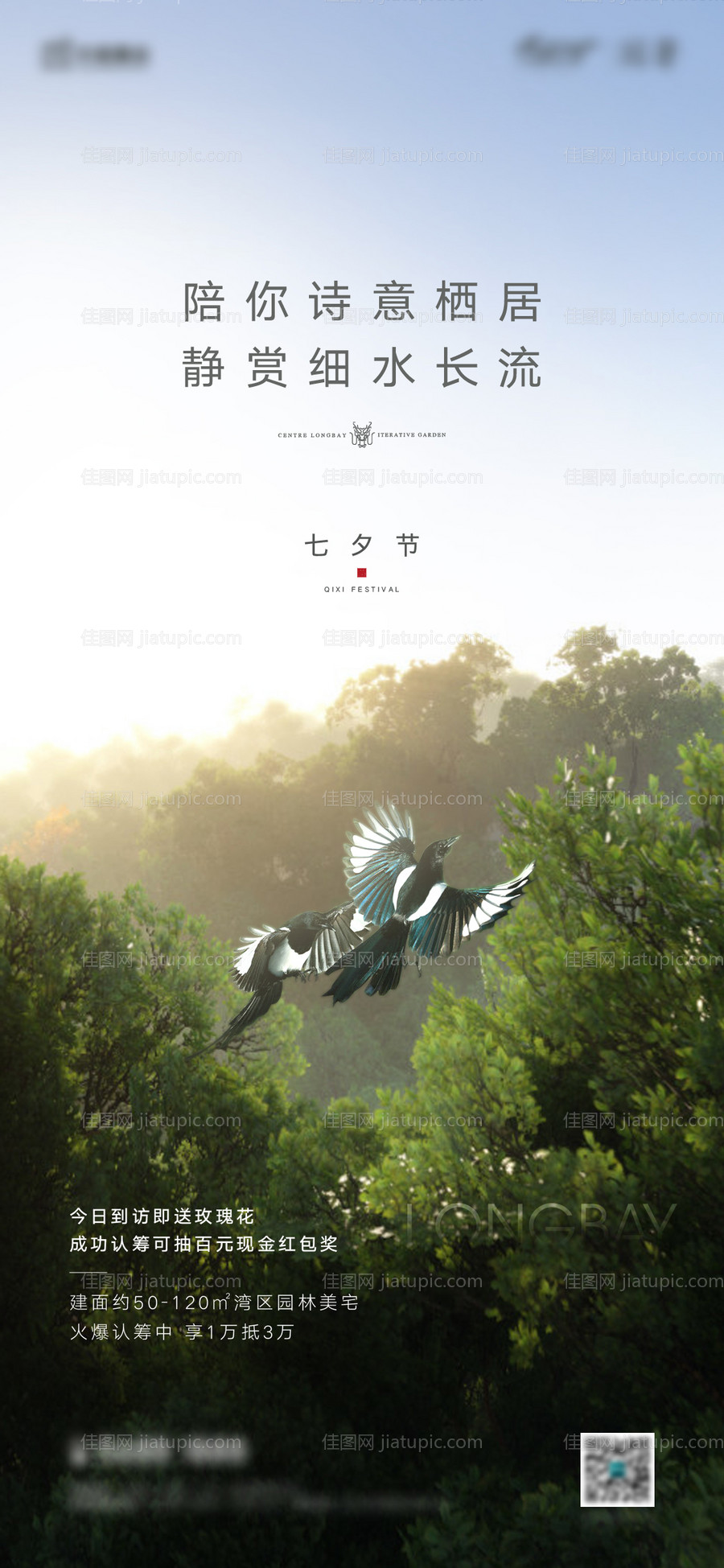 七夕单图-源文件