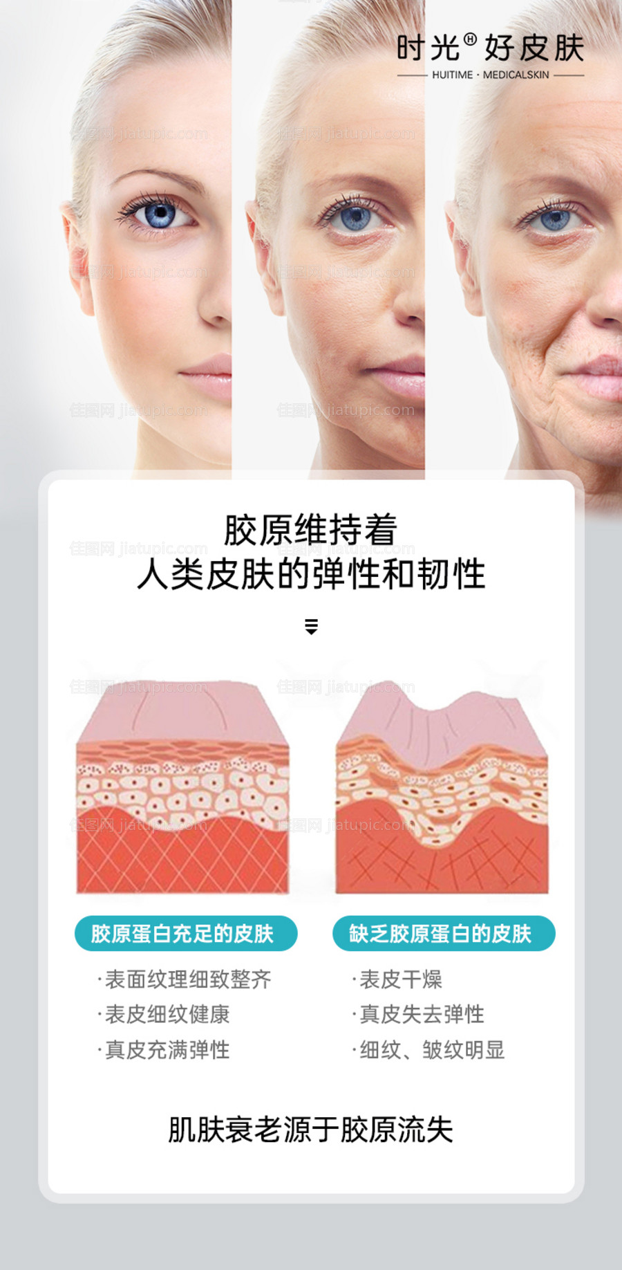 衰老进程海报-源文件