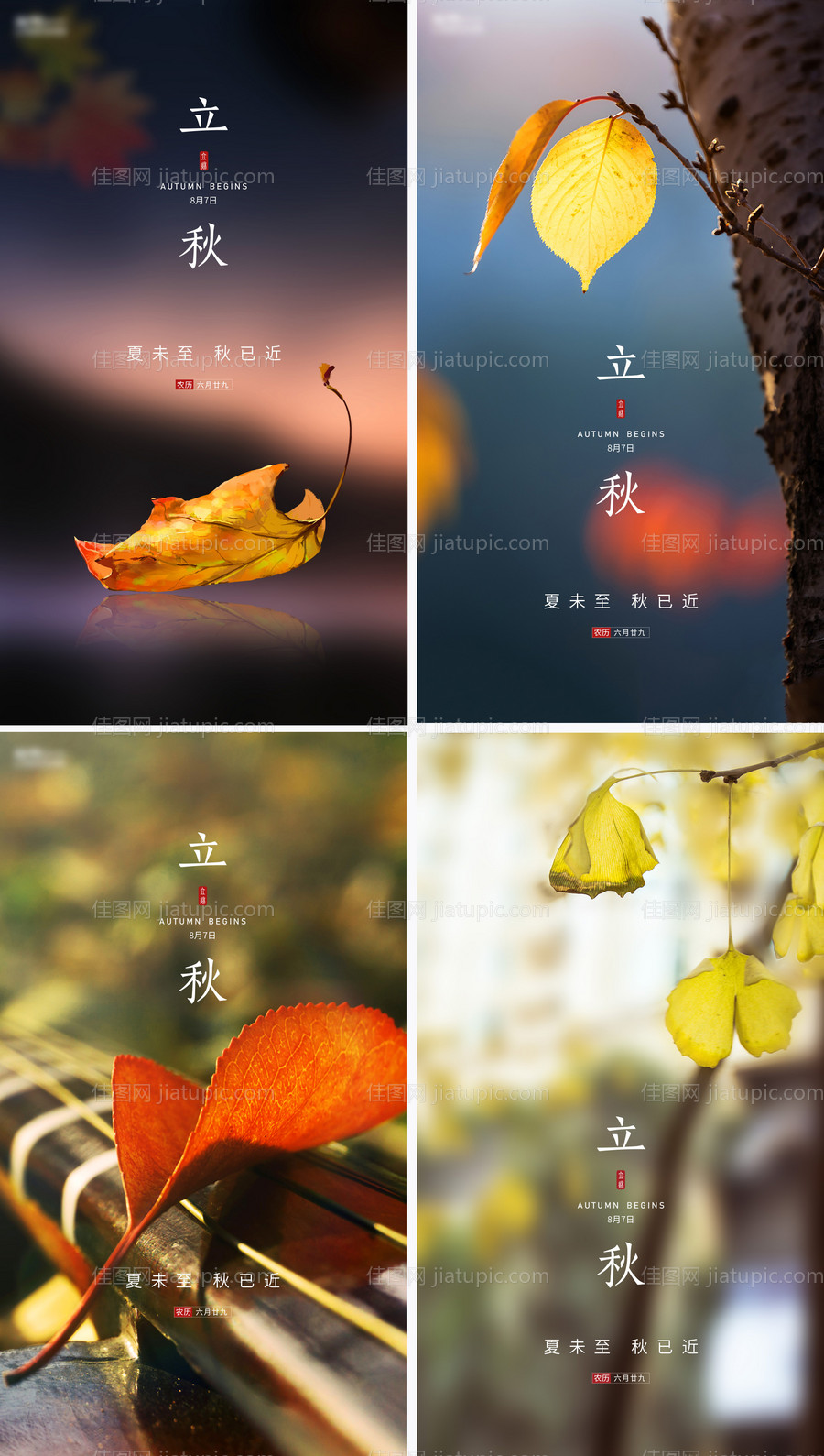 立秋节气海报-源文件